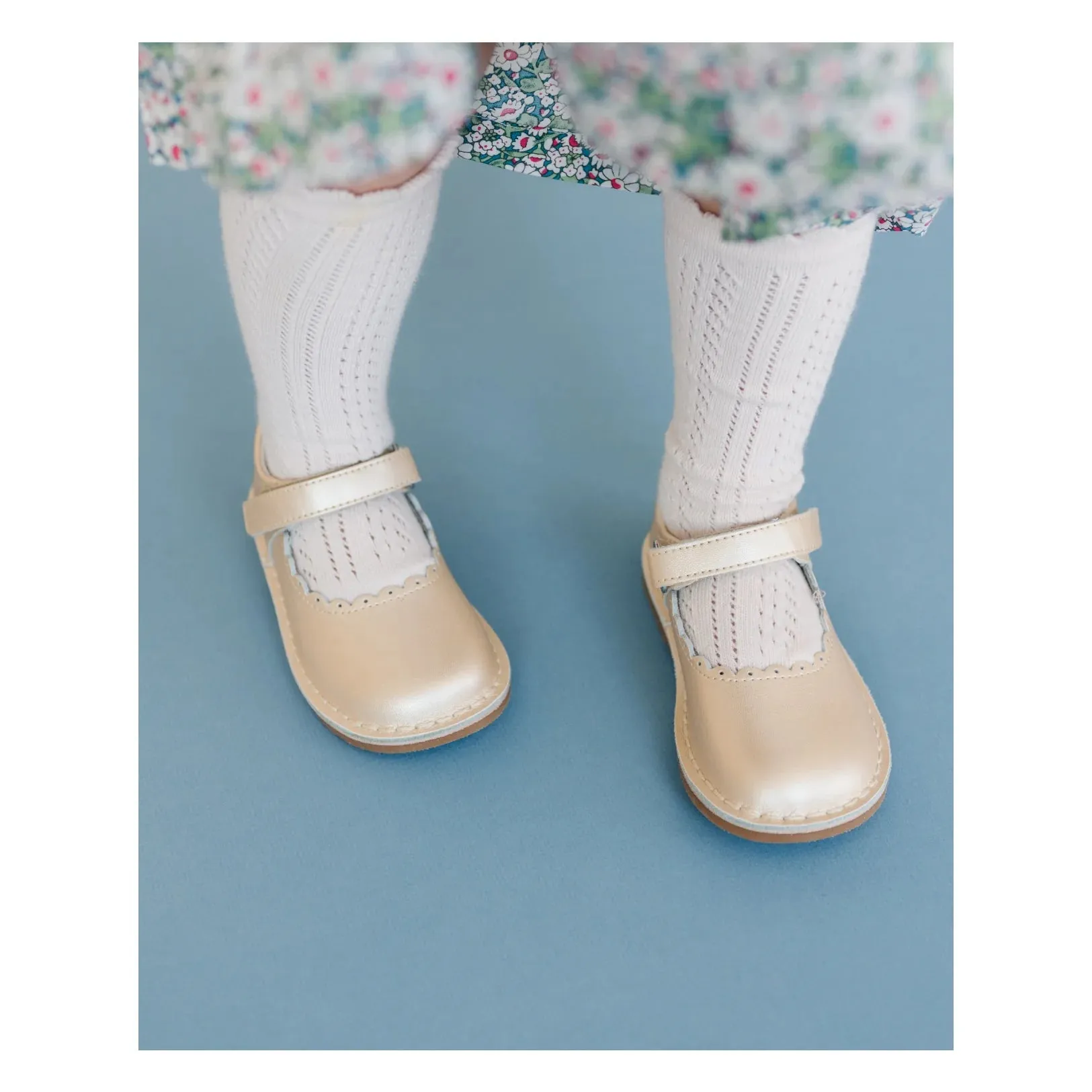 Caitlin Scalloped MJ - F-488